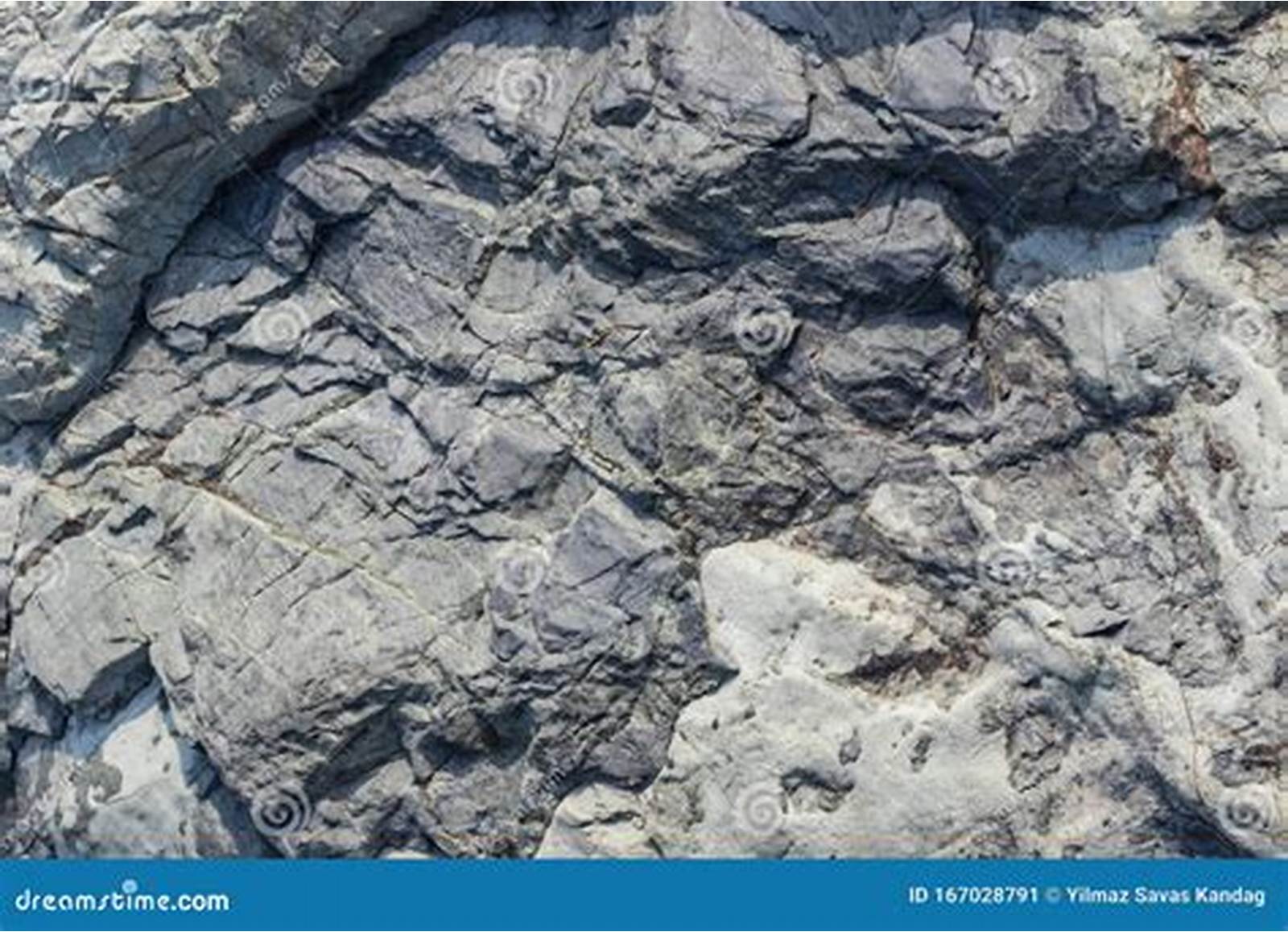 Contoh Stratigraphy 2